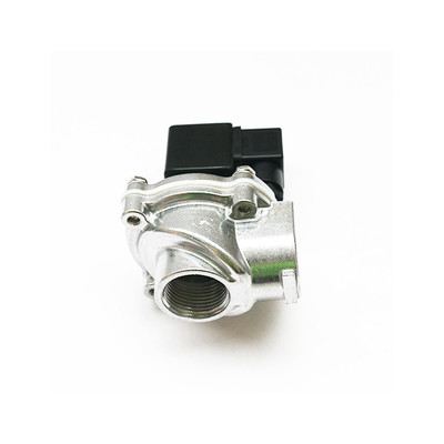 電磁パルスバルブ 粉末注入室用 24V 220V