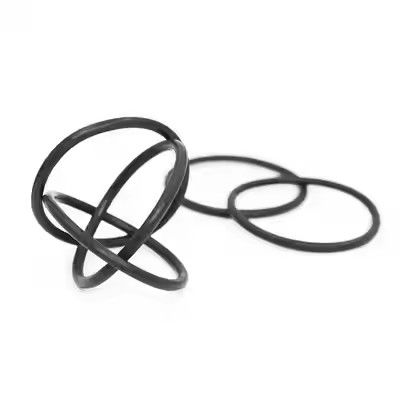 1095885 磨いたTribo Gen II粉末塗装ポンプOリング オーダーメイドOEMサポート