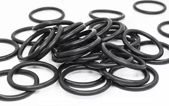 1095885 磨いたTribo Gen II粉末塗装ポンプOリング オーダーメイドOEMサポート